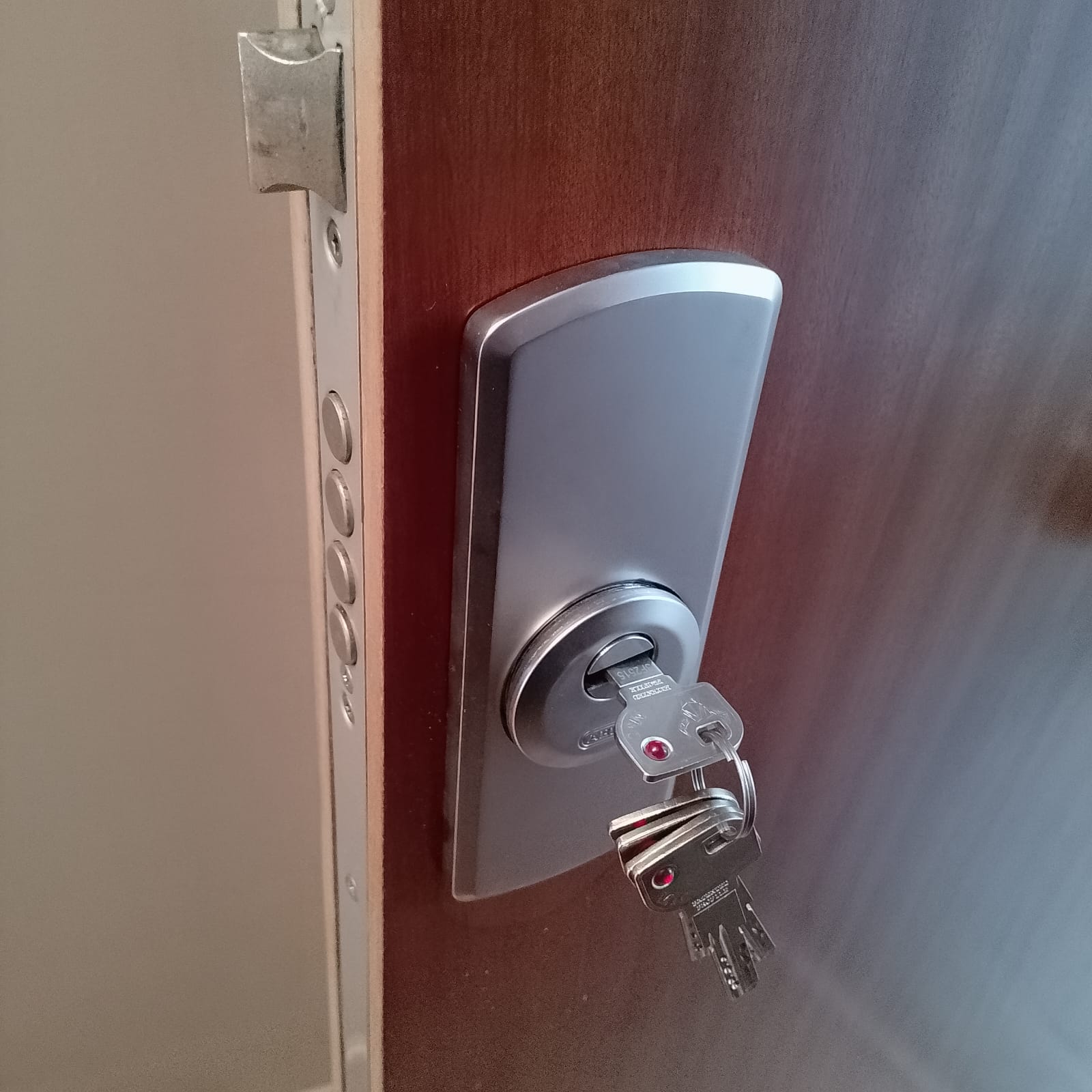 Bombillo y escudo de seguridad en una puerta blindada antigua