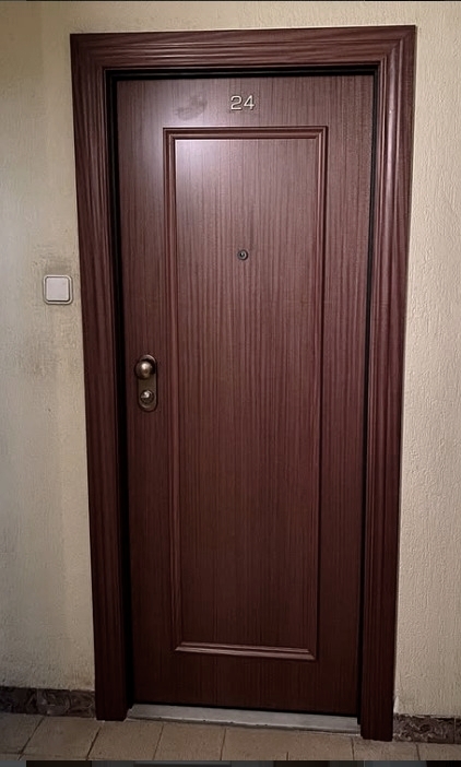 Puerta acorazada diseño exterior de un cuadro